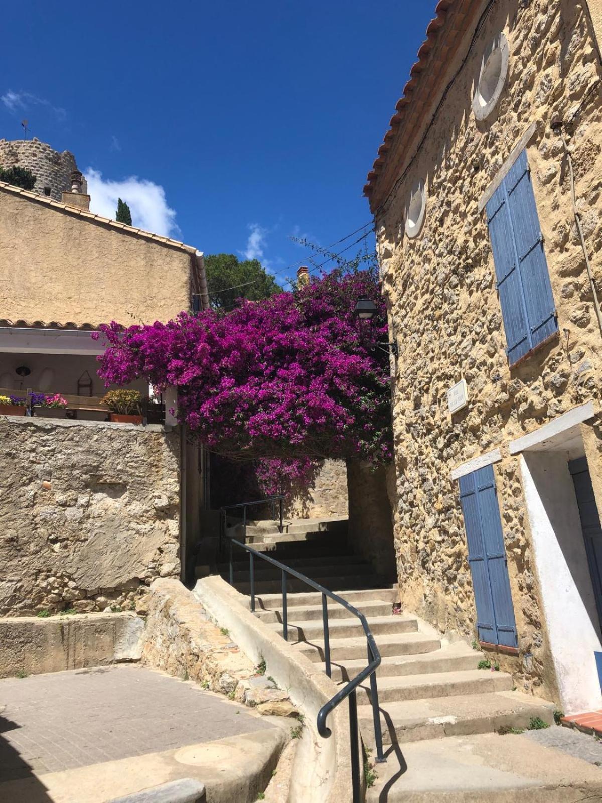 Maison Chalet 200 M De La Plage Climatisation Et Wifi Gruissan Exterior foto